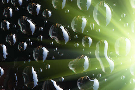 drops on the glass surface of the matrix TFT monitor closely, background