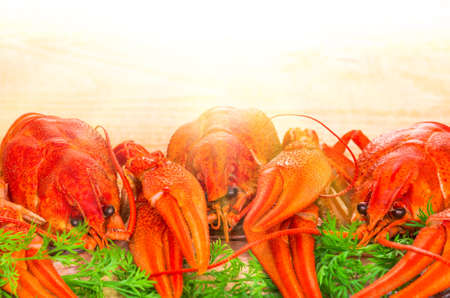 boiled crayfish with herbs on a wooden tableの写真素材