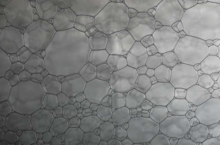 Abstract background of gray bubbles of detergent closeの写真素材