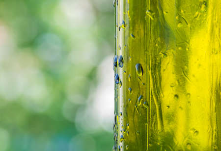 Drops of water on a glass green bottleの写真素材