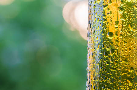 Drops of water on a glass green bottleの写真素材
