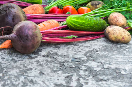 a lot of vegetables beet carrot cucumber onion pepper potato tomato closeの写真素材