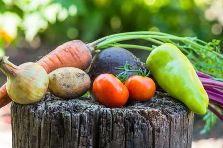 a lot of vegetables carrot cucumber onion potato pepper tomato beet closeの写真素材