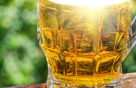 beer in glass on a green natural background of the sun's rays piercedの写真素材