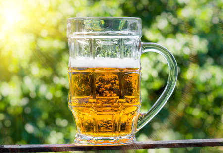 beer in glass on a green natural background of the sun's rays piercedの写真素材