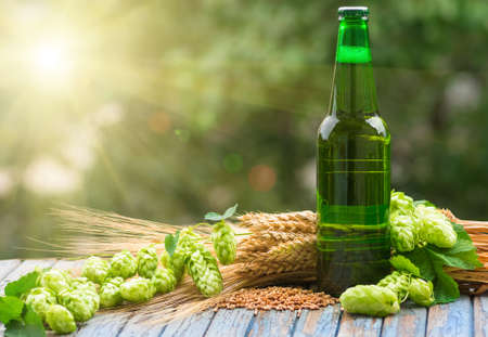 Green bottle of beer, hops, malt, barley ears standing on an old table on natural backgroundの写真素材