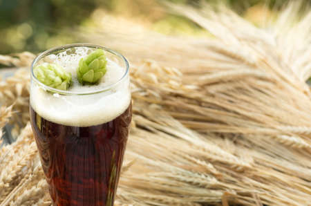 large glass dark beer, kvass, malt, hops, barley ears standing on an old wooden table dyeing,...