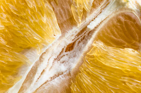 Ripe juicy orange shot very close, backgroundの写真素材