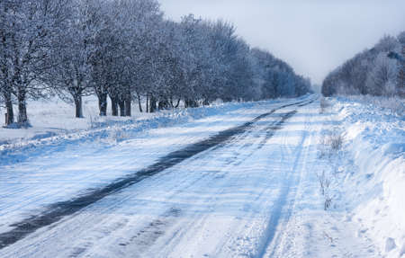 Winter snow-covered, slippery country road in the early morning, winter natural backgroundの写真素材