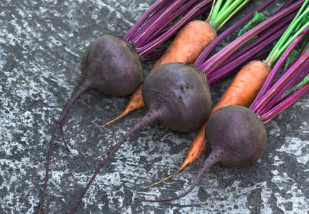 fresh, ripe, organic roots beet and carrots assembled into garden. agriculture backgroundの写真素材