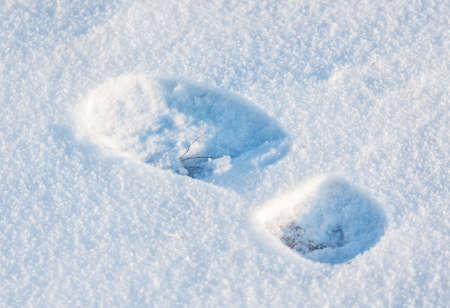 Traces of animal the snow. Winter background.の写真素材