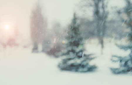 Winter, blur spruce trees, bokeh, falling snow defocused background