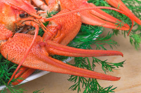 Freshly cooked red lobster, closeup macro. background foodの写真素材