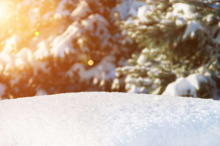beautiful blue christmas snow, close-up, winter backgroundの写真素材