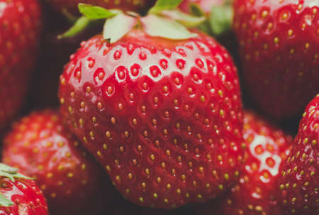 Fresh ripe red organic strawberries closeup. Blue toning, backgroundの写真素材