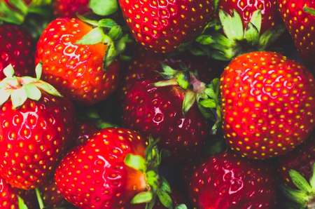 Fresh ripe red organic strawberries closeup. Blue toning, backgroundの写真素材