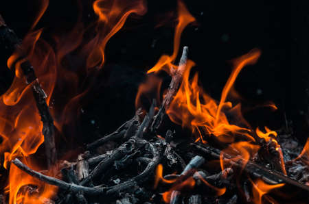 Abstract flame background: fire of burning brushwood close up forming a specific pattern.の写真素材