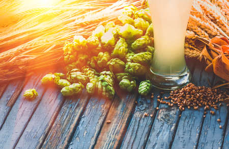 light beer malt, hops, barley ears on the table, alcohol, blue tone