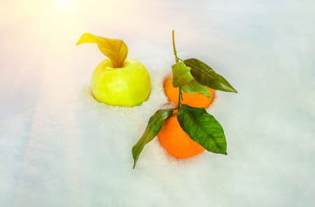 delicious oranges with green leaves and apple in snow, with before Christmas in sunny winter afternoon.の写真素材