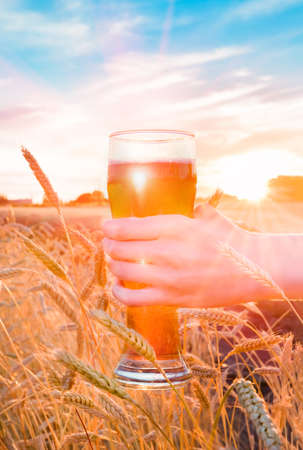 A glass of beer in hand against the background of wheat field during the summer sunsetの写真素材