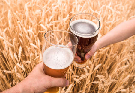 A glass of beer in the hands against ears of ripe wheat and wheat fieldの写真素材