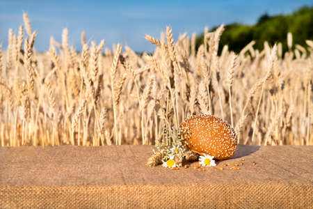 bread bun with sesame seeds lying on a table with flowers of daisies and ears of wheat against the background of a wheat field and blue sky.の写真素材