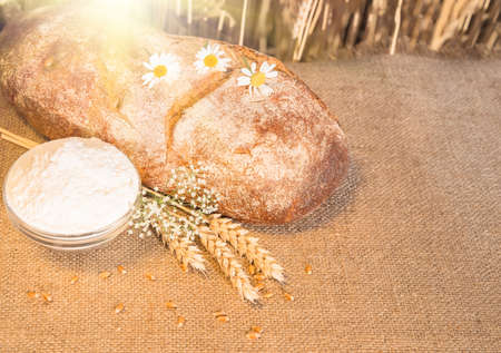 loaf of bread lying on a table, spikelets of wheat and flour dish against the background of a wheat fieldの写真素材
