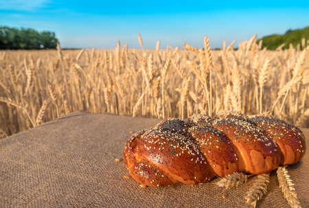 loaf of bread with sesame and poppy lying on table against the background of a wheat field and blue...