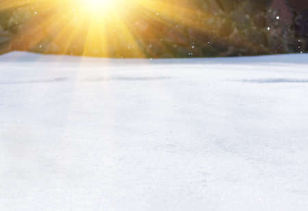 falling snow and sun before christmas, closeup, natural winter backgroundの写真素材