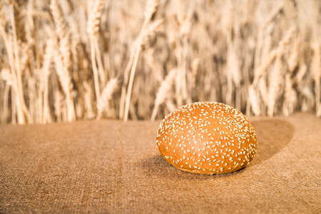 bread bun with sesame seeds lying on a table against the background of a wheat field.の写真素材