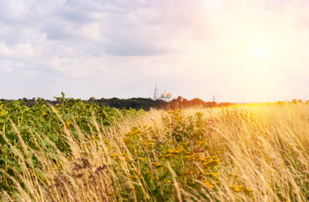 Road to the Orthodox church, trail passes through an sunflower field. Summer day. Good weather.の写真素材