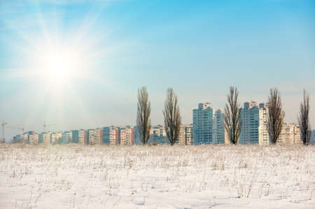 A snow-covered field with dry grass against the backdrop of large trees and a distant city in winterの写真素材