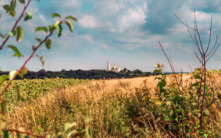 Road to the Orthodox church, trail passes through an sunflower field. Summer day. Good weather.の写真素材