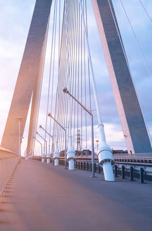 Highway going through a cable-stayed bridge with big steel cables, close-up in the evening during a...