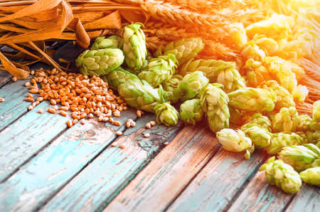 Green hops, malt, ears of barley and wheat grainの写真素材