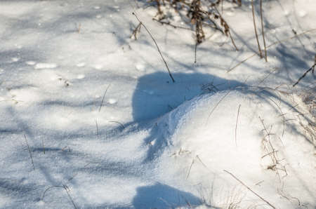 Beautiful fresh snow pattern in minimalistic style