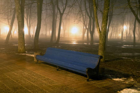 Bench in misty city park at nightの写真素材