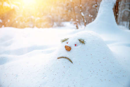Sad snowdrift, a snowman, in anticipation of spring in the forest, is looking as warm rays are selectedup to him. Snowdrift in the shape of a sad face snowman is waiting for him to disappear in springの写真素材