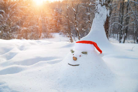 Cheerful snowdrift, snowman, in in christmas hat, in anticipation of waiting for Christmas holidays in a snowy winter forest.の写真素材