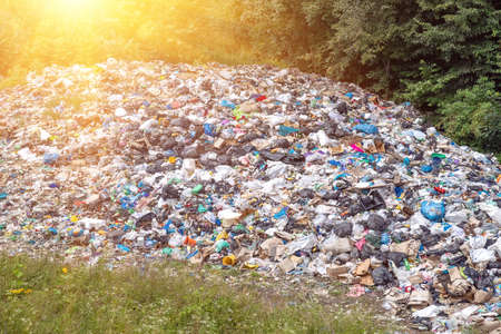 Unauthorized landfill. Pile of domestic garbage. Background demonstrating environmental disaster in the wild.の写真素材