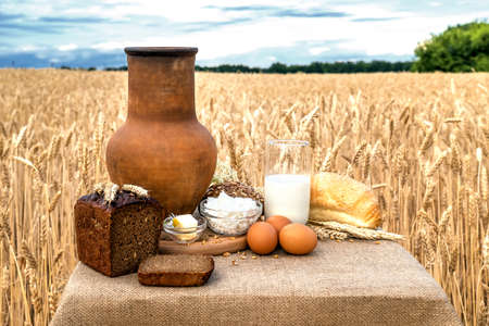 Organic food - milk, bread, eggs, cheese, butter lying on the table, against the background of a...