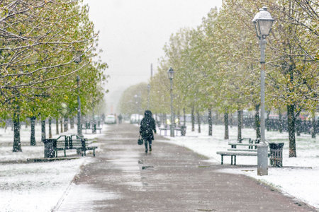 It snows in the springtime in the chestnut park the trees have opened their green leaves. Bad weather in a spring.の写真素材