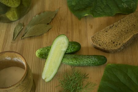 ripe green cucumbers before picklingの写真素材