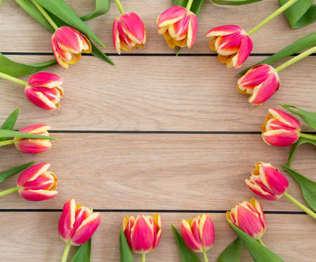 Pink and yellow tulips on a wooden backgroundの写真素材