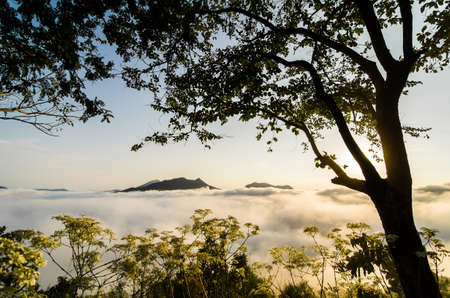 One day in the morning.の写真素材