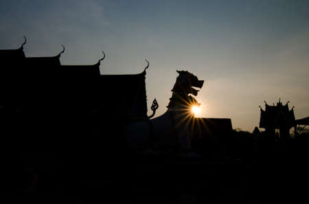 Before the sunset.の写真素材