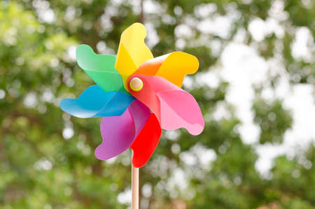 A Colorful Pinwheel with green tree backgroundの写真素材