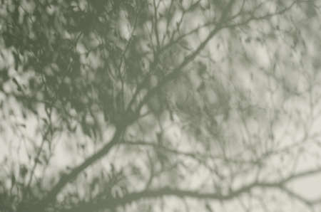 Light and shadow on the wall.の写真素材