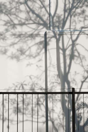 Light and shadows of trees projected onto the wall.の写真素材