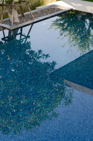 Reflection of trees in the swimming pool.